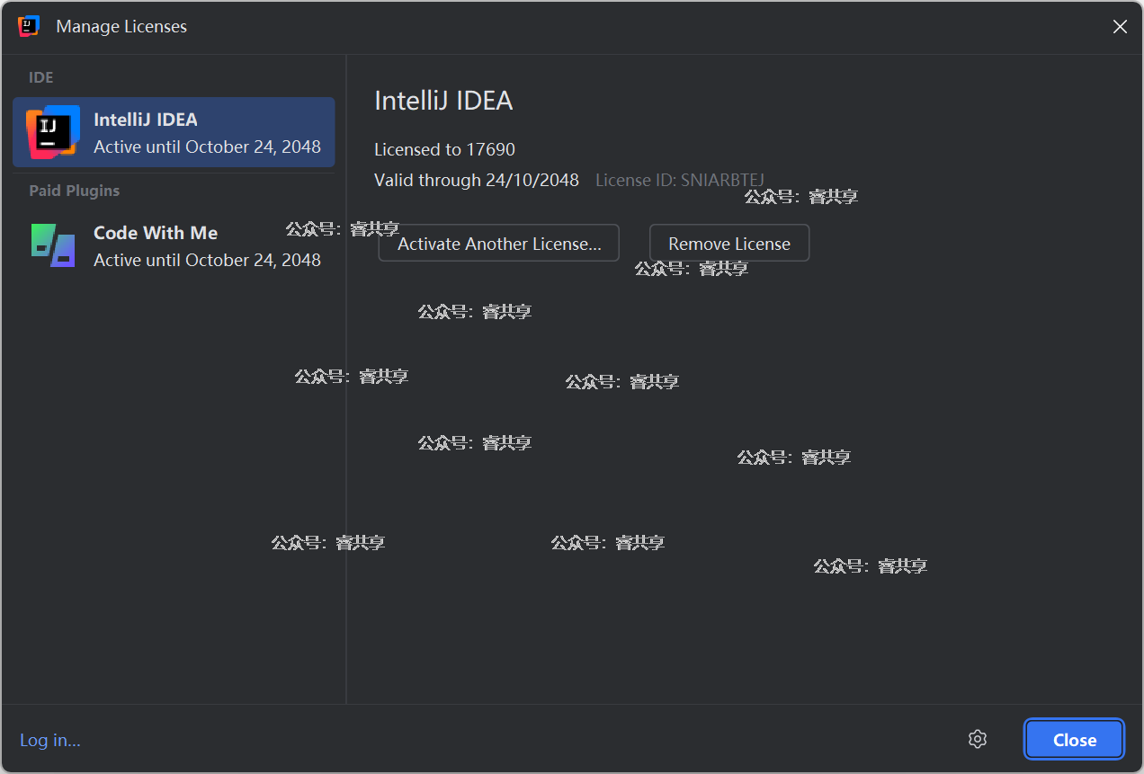 IDEA2025.1.2最新破解到2048年9月激活教程附带激活工具 IDEA2025.1.2最新破解到2048年9月激活教程附带激活工具