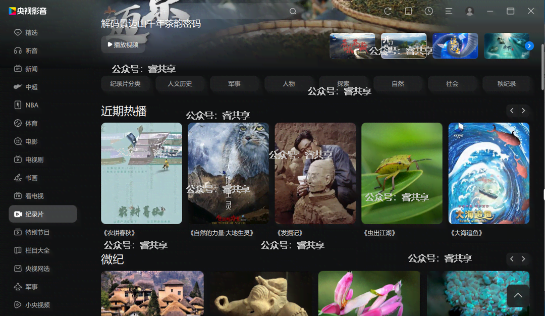 央视影音v6.0.3.4绿色免安装版 央视影音v6.0.3.4绿色免安装版