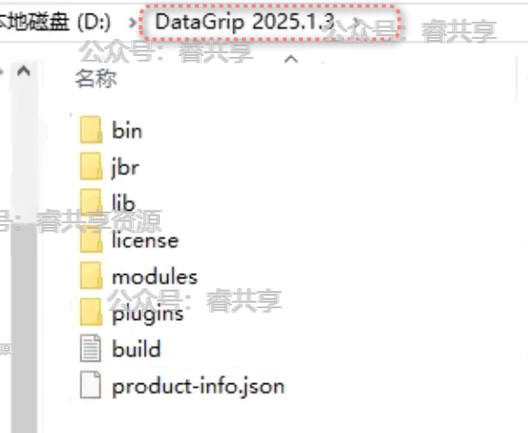 DataGrip2025.1.3最新破解到2048年9月激活教程附带激活工具 DataGrip2025.1.3最新破解到2048年9月激活教程附带激活工具